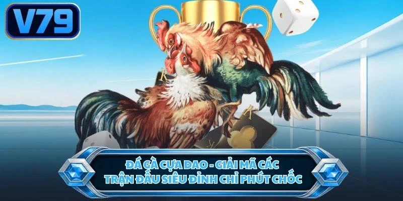 Đá Gà Cựa Dao - Giải Mã Các Trận Đấu Siêu Đỉnh Chỉ Phút Chốc