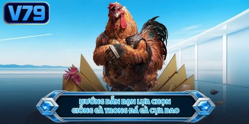 Hướng dẫn bạn lựa chọn giống gà trong đá gà cựa dao