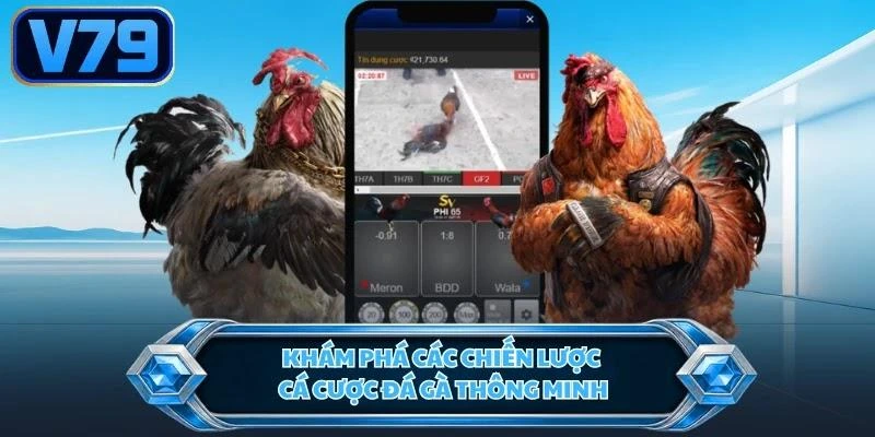 Khám phá các chiến lược cá cược đá gà thông minh