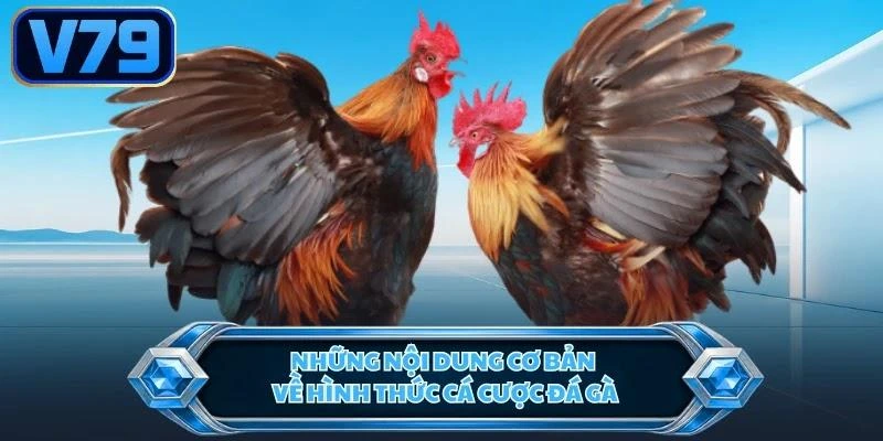 Những nội dung cơ bản về hình thức cá cược đá gà