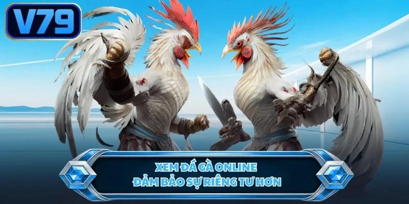 xem-da-ga-online-dam-bao-su-rieng-tu-hon Xem đá gà online đảm bảo sự riêng tư hơn